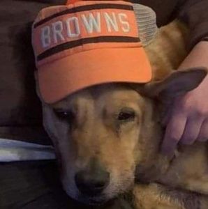 Meet your Posher, Nathaniel